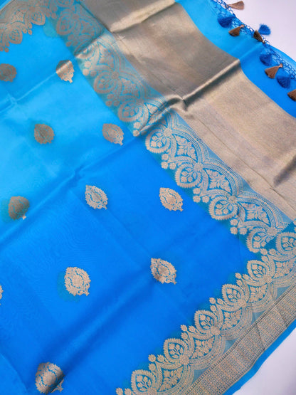 Handloom Banarasi Pure Kora Organza Saree