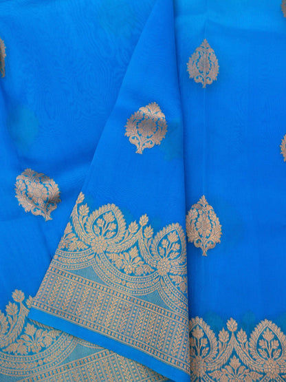 Handloom Banarasi Pure Kora Organza Saree